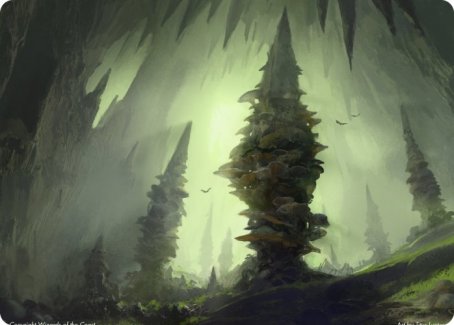 Forest (280) Art Card [Dungeons & Dragons: Adventures in the Forgotten Realms Art Series] | North Game Den