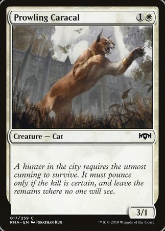 Prowling Caracal [Ravnica Allegiance] | North Game Den