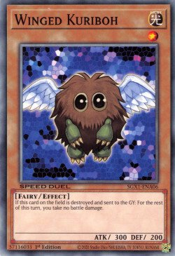 Winged Kuriboh [SGX1-ENA06] Common | North Game Den