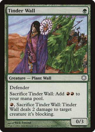 Tinder Wall [Coldsnap Theme Decks] | North Game Den