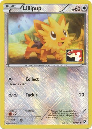 Lillipup (81/114) (League Promo) [Black & White: Base Set] | North Game Den