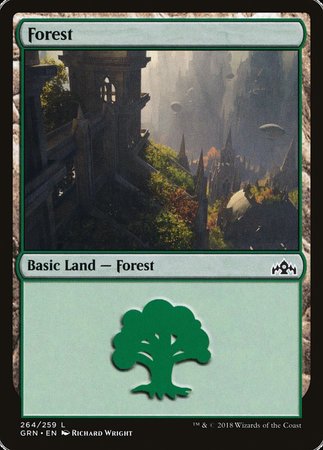 Forest [Guilds of Ravnica] | North Game Den