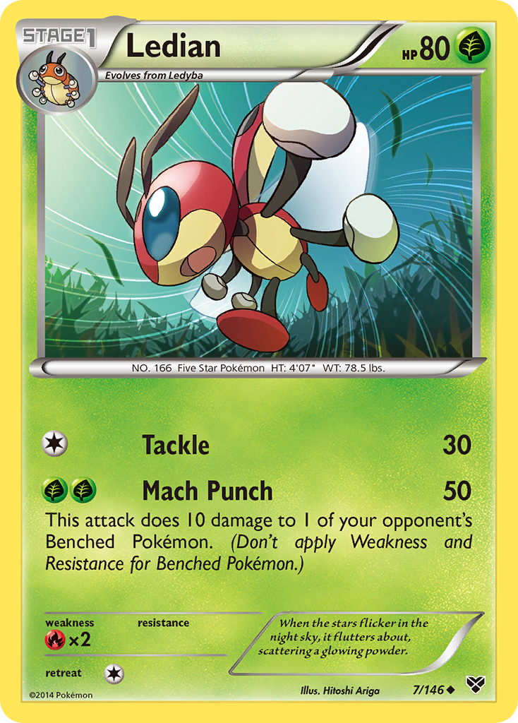 Ledian (7/146) [XY: Base Set] | North Game Den